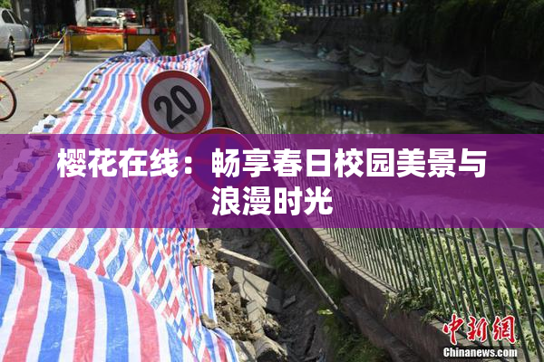 樱花在线：畅享春日校园美景与浪漫时光
