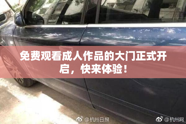 免费观看成人作品的大门正式开启，快来体验！