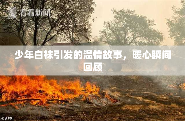 少年白袜引发的温情故事，暖心瞬间回顾