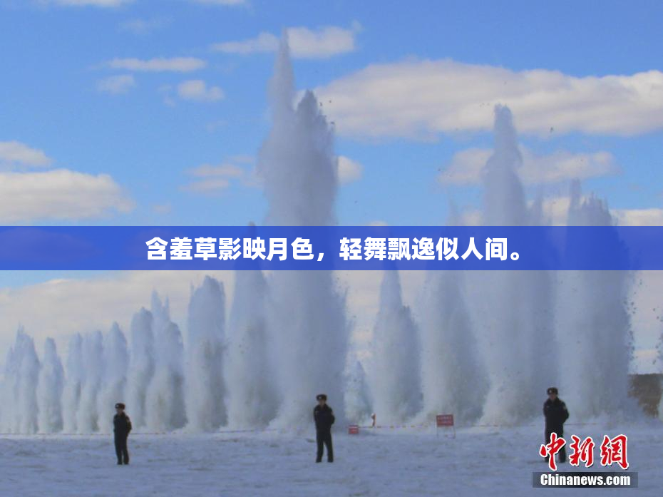 含羞草影映月色，轻舞飘逸似人间。