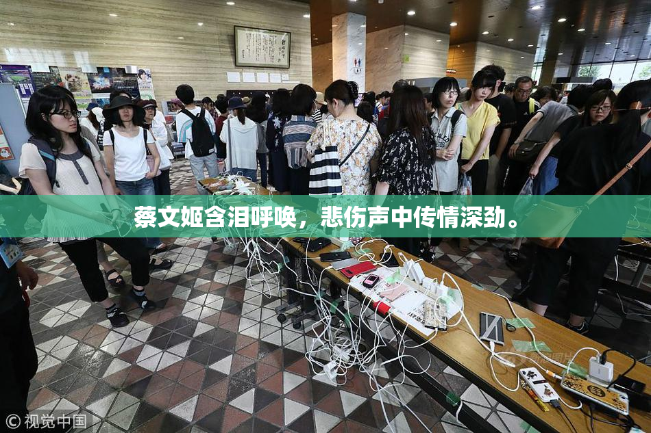 蔡文姬含泪呼唤，悲伤声中传情深劲。