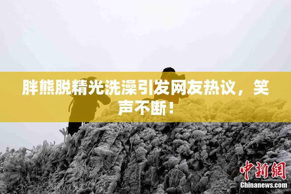 胖熊脱精光洗澡引发网友热议，笑声不断！