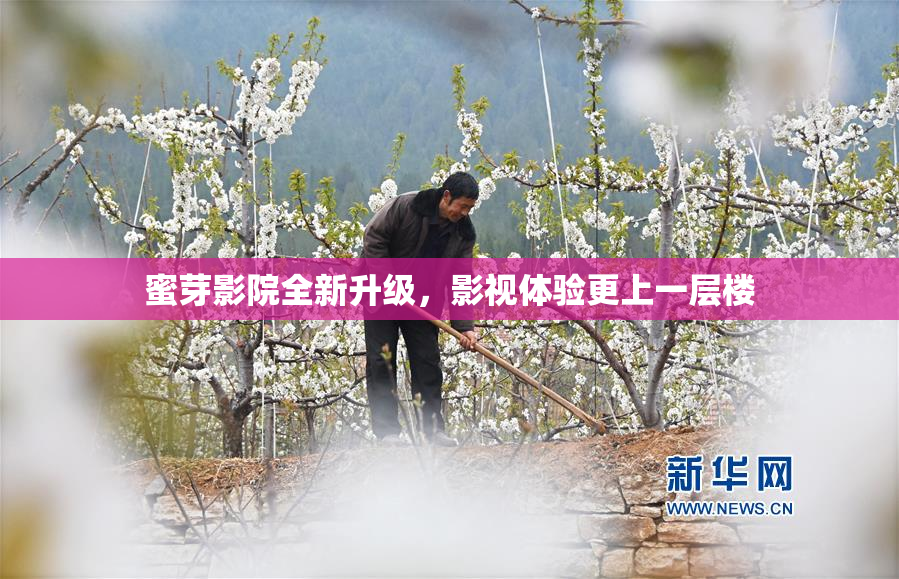 蜜芽影院全新升级，影视体验更上一层楼