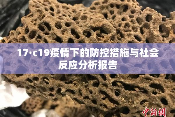 17·c19疫情下的防控措施与社会反应分析报告