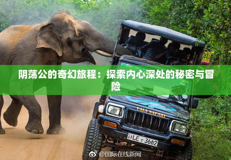 阴荡公的奇幻旅程：探索内心深处的秘密与冒险