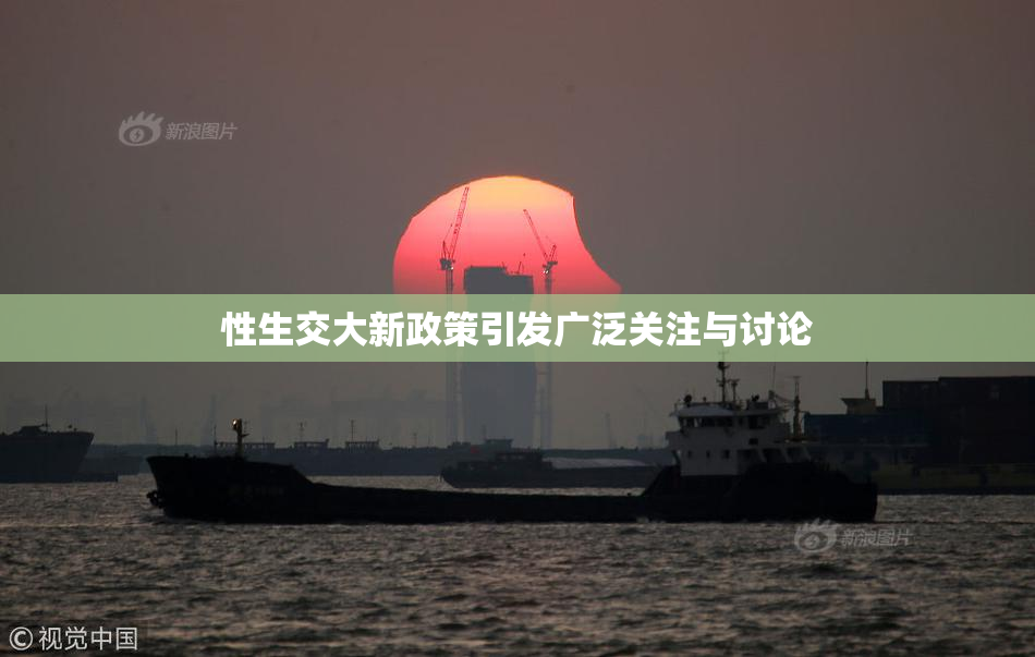 性生交大新政策引发广泛关注与讨论