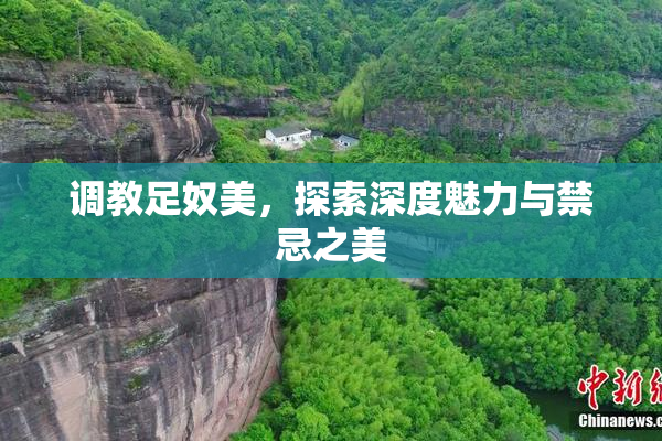 调教足奴美，探索深度魅力与禁忌之美