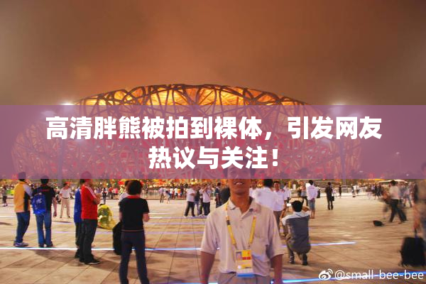 高清胖熊被拍到裸体，引发网友热议与关注！