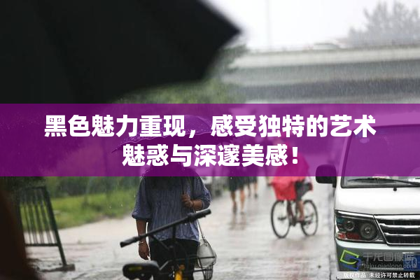 黑色魅力重现，感受独特的艺术魅惑与深邃美感！