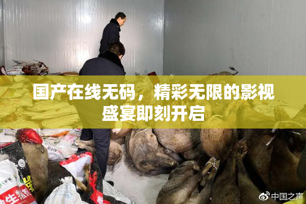 国产在线无码，精彩无限的影视盛宴即刻开启