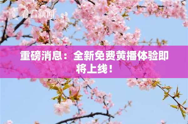 重磅消息：全新免费黄播体验即将上线！