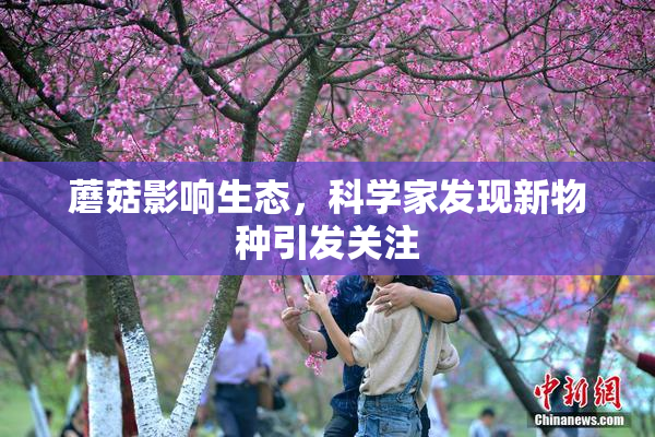 蘑菇影响生态，科学家发现新物种引发关注