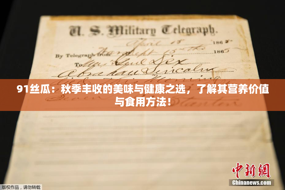 91丝瓜：秋季丰收的美味与健康之选，了解其营养价值与食用方法！