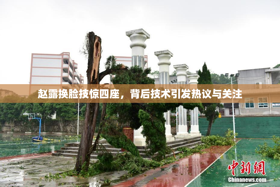 赵露换脸技惊四座，背后技术引发热议与关注