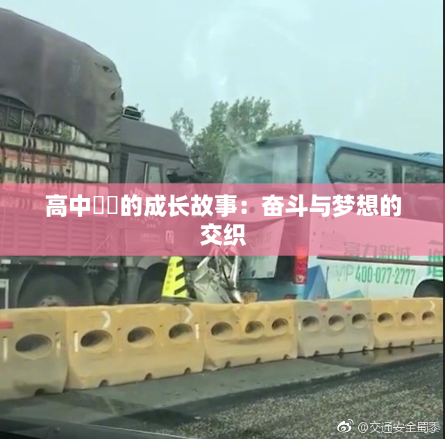 高中妺妺的成长故事：奋斗与梦想的交织