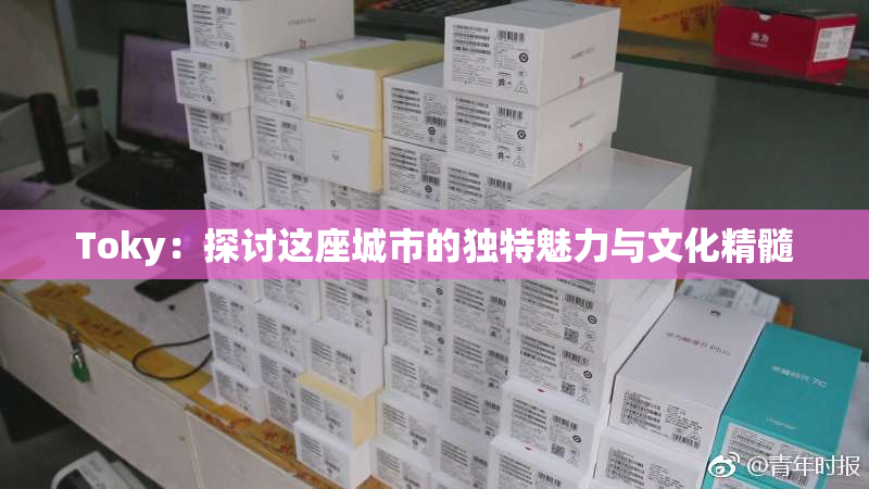 Toky：探讨这座城市的独特魅力与文化精髓