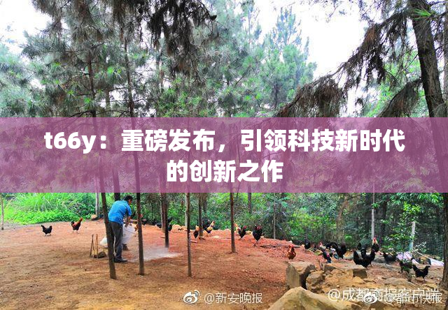 t66y：重磅发布，引领科技新时代的创新之作