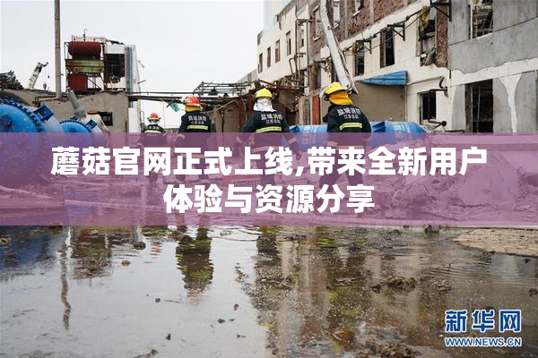 蘑菇官网正式上线,带来全新用户体验与资源分享