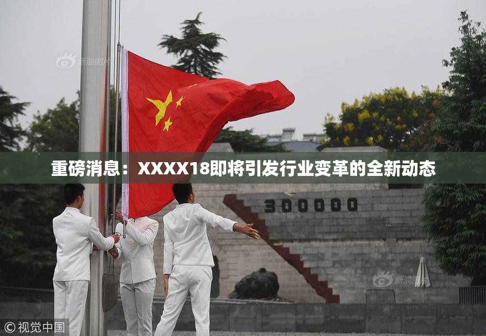 重磅消息：XXXX18即将引发行业变革的全新动态