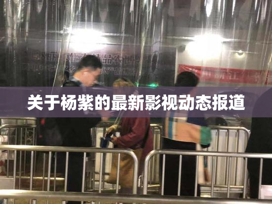 关于杨紫的最新影视动态报道