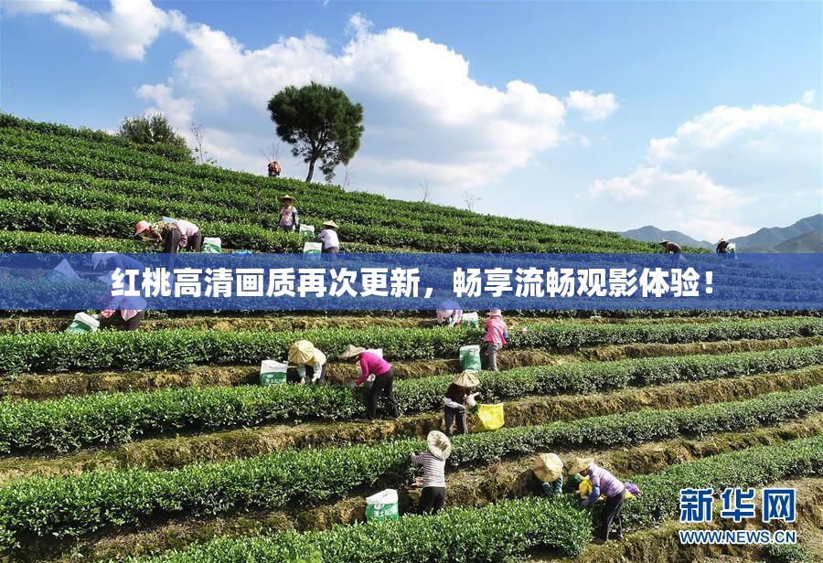 红桃高清画质再次更新，畅享流畅观影体验！