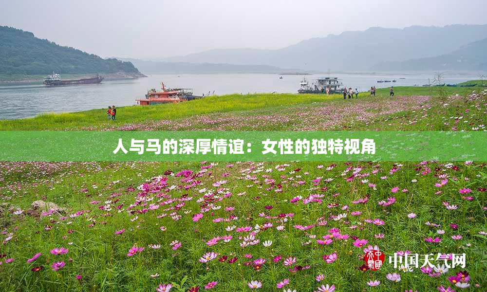 人与马的深厚情谊：女性的独特视角