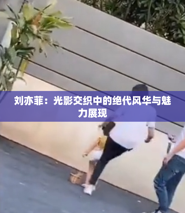 刘亦菲：光影交织中的绝代风华与魅力展现