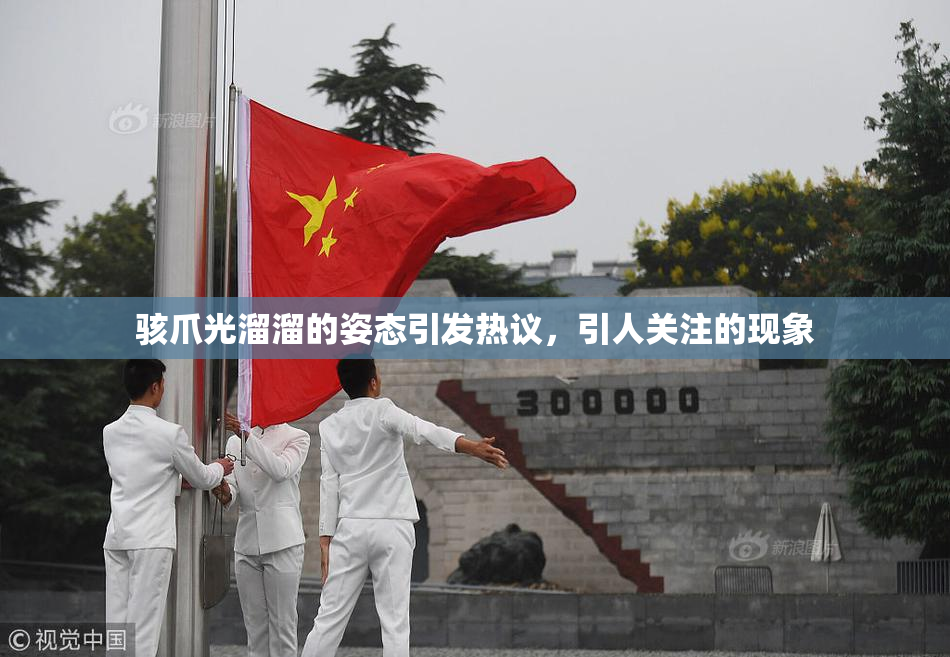 骇爪光溜溜的姿态引发热议，引人关注的现象