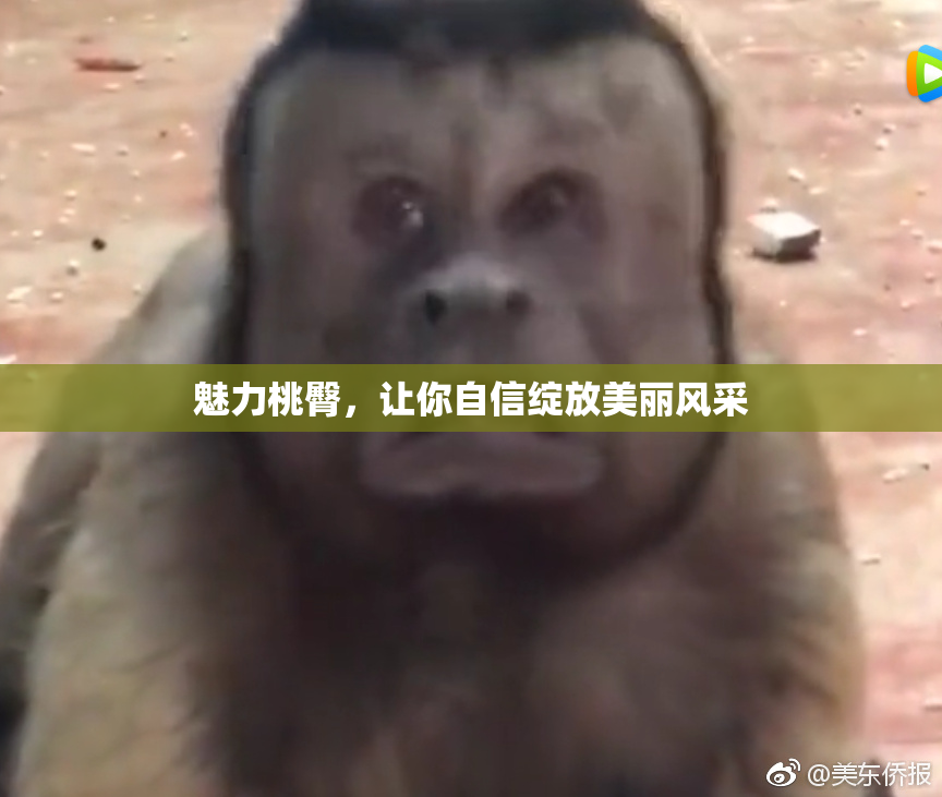 魅力桃臀，让你自信绽放美丽风采