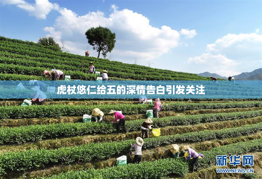 虎杖悠仁给五的深情告白引发关注
