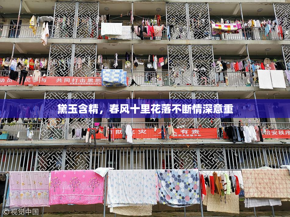 黛玉含精，春风十里花落不断情深意重