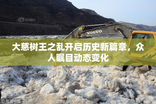 大慈树王之乱开启历史新篇章，众人瞩目动态变化