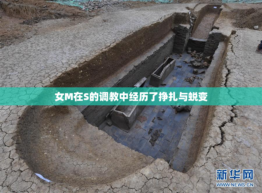 女M在S的调教中经历了挣扎与蜕变