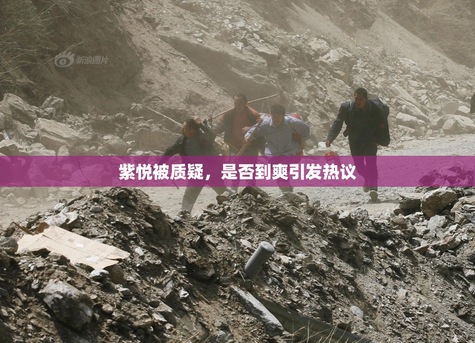 紫悦被质疑，是否到爽引发热议