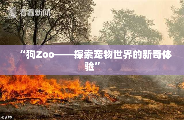 “狗Zoo——探索宠物世界的新奇体验”