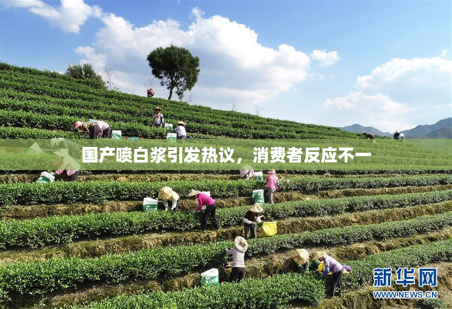 国产喷白浆引发热议，消费者反应不一