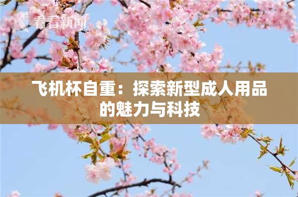 飞机杯自重：探索新型成人用品的魅力与科技