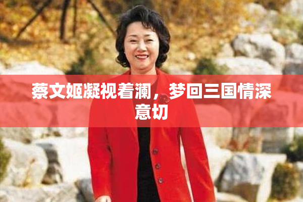 蔡文姬凝视着澜，梦回三国情深意切