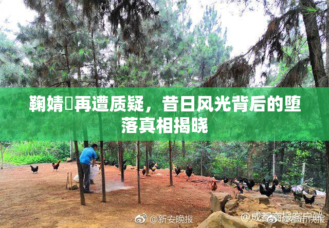 鞠婧祎再遭质疑，昔日风光背后的堕落真相揭晓