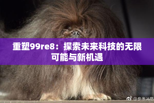 重塑99re8：探索未来科技的无限可能与新机遇
