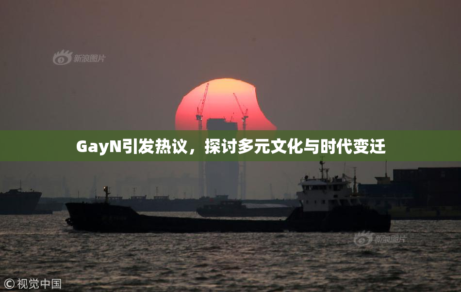 GayN引发热议，探讨多元文化与时代变迁