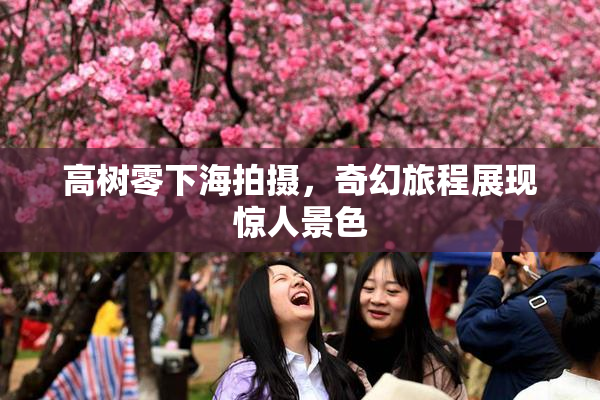 高树零下海拍摄，奇幻旅程展现惊人景色