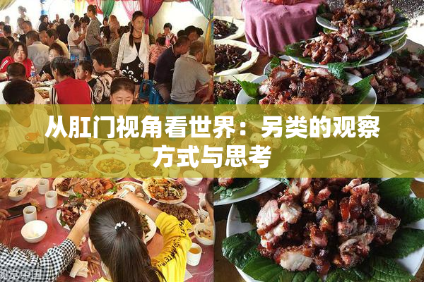 从肛门视角看世界：另类的观察方式与思考
