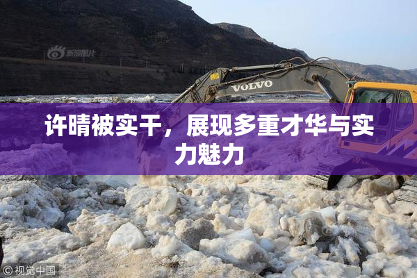 许晴被实干，展现多重才华与实力魅力
