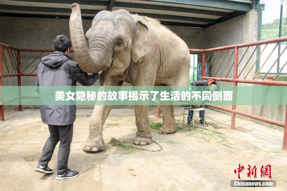 美女隐秘的故事揭示了生活的不同侧面