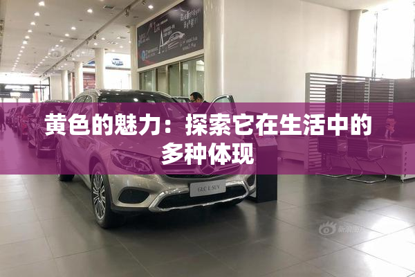 黄色的魅力：探索它在生活中的多种体现