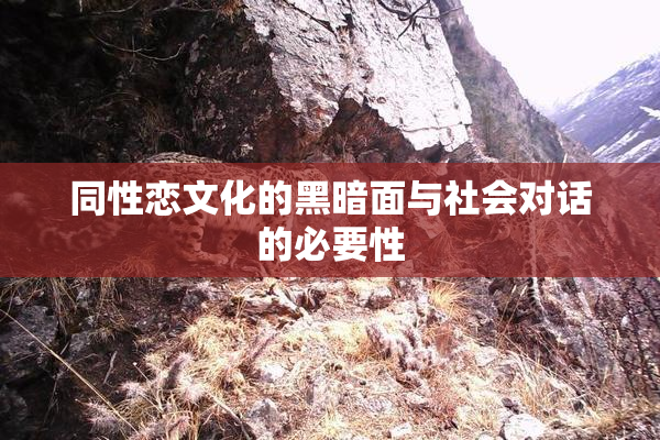 同性恋文化的黑暗面与社会对话的必要性