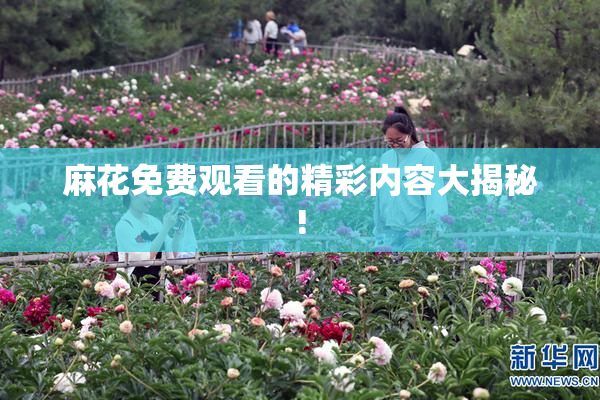 麻花免费观看的精彩内容大揭秘!