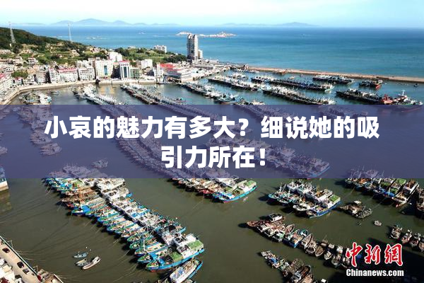 小哀的魅力有多大？细说她的吸引力所在！