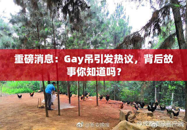 重磅消息：Gay吊引发热议，背后故事你知道吗？